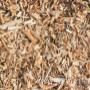 Wood chips