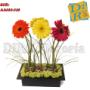 Arreglo de Bellas Gerberas