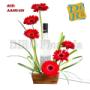 Arreglo de Bellas Gerberas