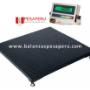 Balanza Industrial LP9901