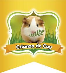 CRIANZA DE CUYES