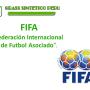 Grass-Sintetico-Fifa