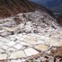 Maras Moray