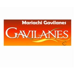 Mariachi Los Gavilanes