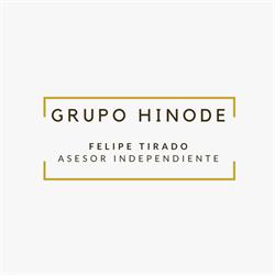 GRUPO HINODE Felipe Tirado Consultor Independiente