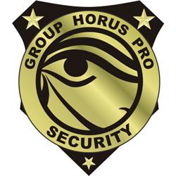 Group Horus Pro Security S A C