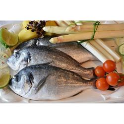 Abanto Fish