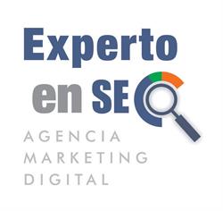 Experto en SEO