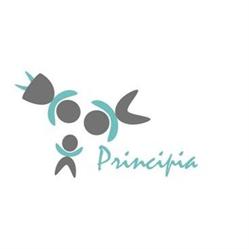 Centro Psicopedagógico Principia