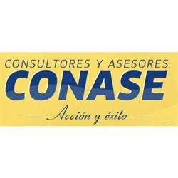 Consultores & Asesores