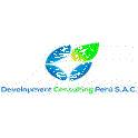 Development Consulting