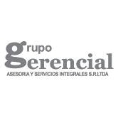Grupo Gerencial