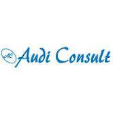 AUDI CONSULT