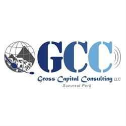 Cariola Group Team