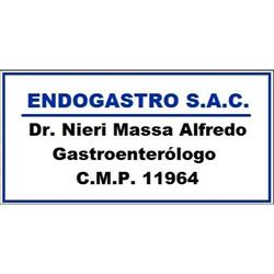 Endogastro S.A.C.