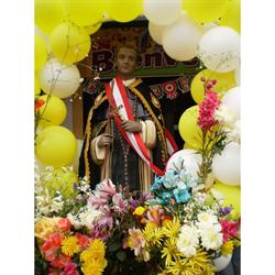 IEP Fray Martín de Porres