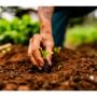 AGROINVERSIONES THIAGO E.I.R.L., es una empresa 100% peruana dedicada a la comercialización de fertilizantes de alta calidad. Contamos con una amplia variedad de fertilizantes, los cuales están agrupados en 4 líneas: Genéricos, Solubles, Foliares y Mezclas. Insecticidas, fertilizantes, fungicidas, semillas, maquinaria y equipos para la agricultura para tu mejor solución para todo la agroindustria. Productos y servicios: - Insecticidas, fertilizantes, fungicidas, semillas. - Maquinaria y equipos para la agricultura. - Asesoramiento permanente. - Saneamiento ambiental - Producto agrícola - Guano. -Abonos Orgánicos. Nos encontramos en Perú.