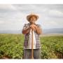 En Agroinversiones Thiago ofrecemos fertilizantes, semillas, maquinaria y equipos agrícolas de alta calidad. Tu aliado en soluciones integrales para el campo. Nos encontramos en Perú.