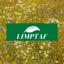 Limptaf