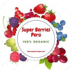 Super Berries Peru And Fruits