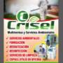 Multiventas y Servicios Ambientales Crisel