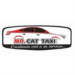 Mister Cat Taxi