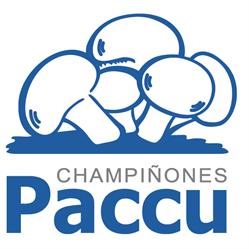 PACCU - CHAMPIÑONES