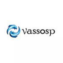 Vassosp Trading EIRL -  Soporte y Servicios Informáticos