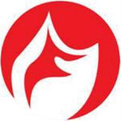 FIRE MANTTO INGENIEROS