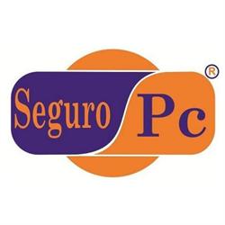 Grupo Seguro PC