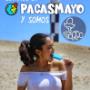 Paletas Artesanales Mr. Coppo
