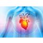 Centro cardiológico, líder en atención cardiovascular, comprometidos con tu salud y bienestar. Nos encontramos en Perú.