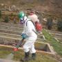 Saneamiento Ambiental