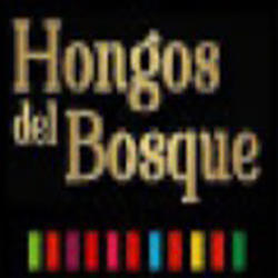 Hongos del Bosque