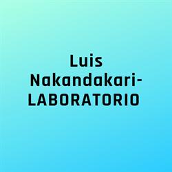 LUIS NAKANDAKARI Y E.I.R.L.