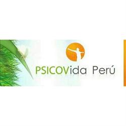 CENTRO PISOCOLOGICO  PSICOVIDA PERU