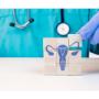 Ginecóloga y obstetra dedicada al cuidado de la salud femenina. Brindo servicios completos, desde seguimiento prenatal hasta atención en salud ginecológica. ¡Confía en mí para tu bienestar y cuidado integral! Estamos en Perú.