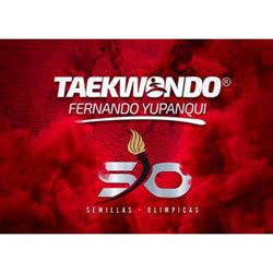TAE KWON DO FERNANDO YUPANQUI