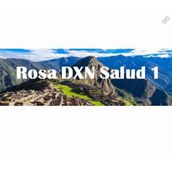 Rosa DXN Salud 1