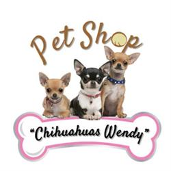 Pet Shop Chihuahuas Wendy