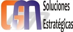GM SOLUCIONES ESTRATEGICAS S.A.C