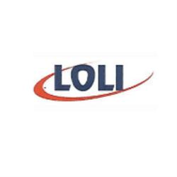 Puertas a Control Remoto Loli