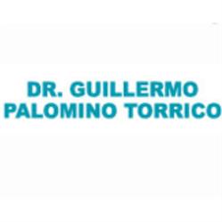 Palomino Torrico Wilfredo Guillermo