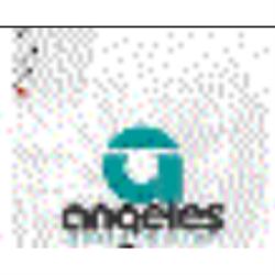 Angeles Asesores Tributarios S.A.C.