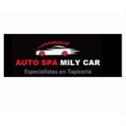 Tapicería - Auto Spa Mily Car