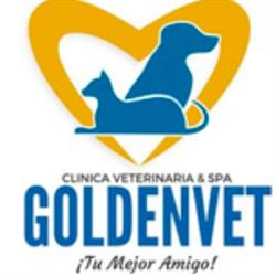 Clinica Veterinaria & Spa Goldenvet