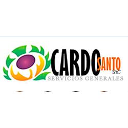 CARDOSANTO S.A.C.