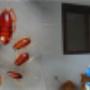 # 4