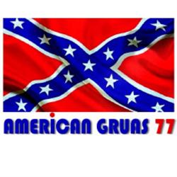 AMERICAN GRUAS 77