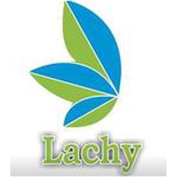 Masajes y Fisioterapia Lachy